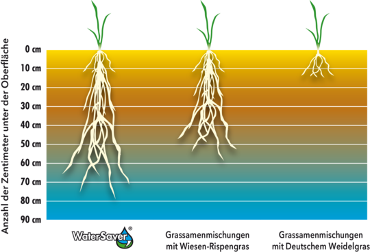 GRAPH_Turf_DE_WaterSaver-DeepRooting.png